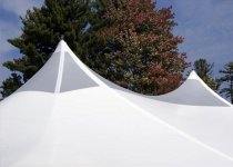 40 x 60 Translucent  Peak Century Tent