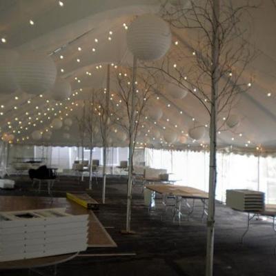 Cafe String Lighting