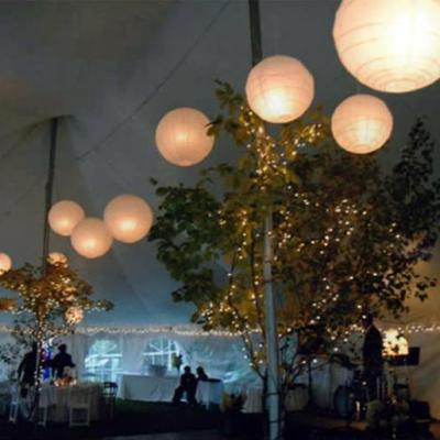 Paper Lanterns In 40 X 60 Tent