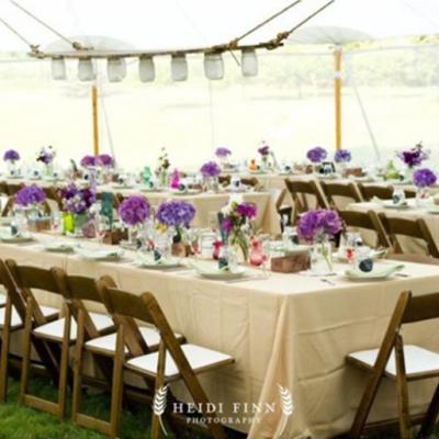 Fruitwood Garden Chairs 2