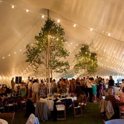 50 X 110 Century Tent Interior