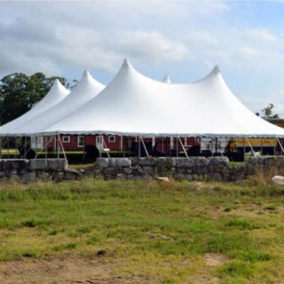 80 X 100 Century Tent