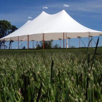 44 X 83 Tidewater Sailcloth Tent