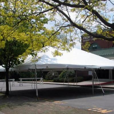 30 X 30 Frame Tent